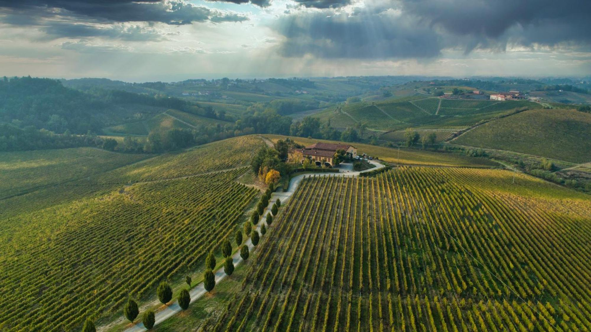 Vila Tenuta La Meirana Gavi Exteriér fotografie