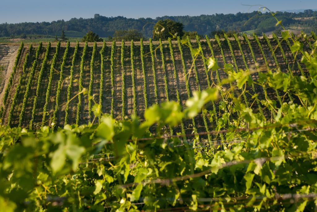 Vila Tenuta La Meirana Gavi Exteriér fotografie