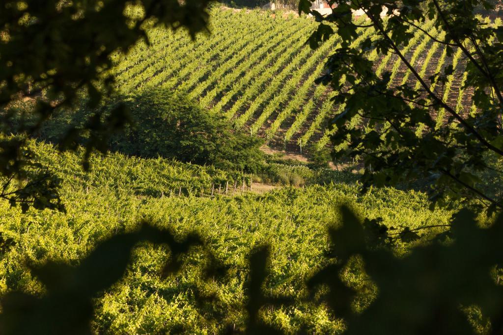 Vila Tenuta La Meirana Gavi Exteriér fotografie