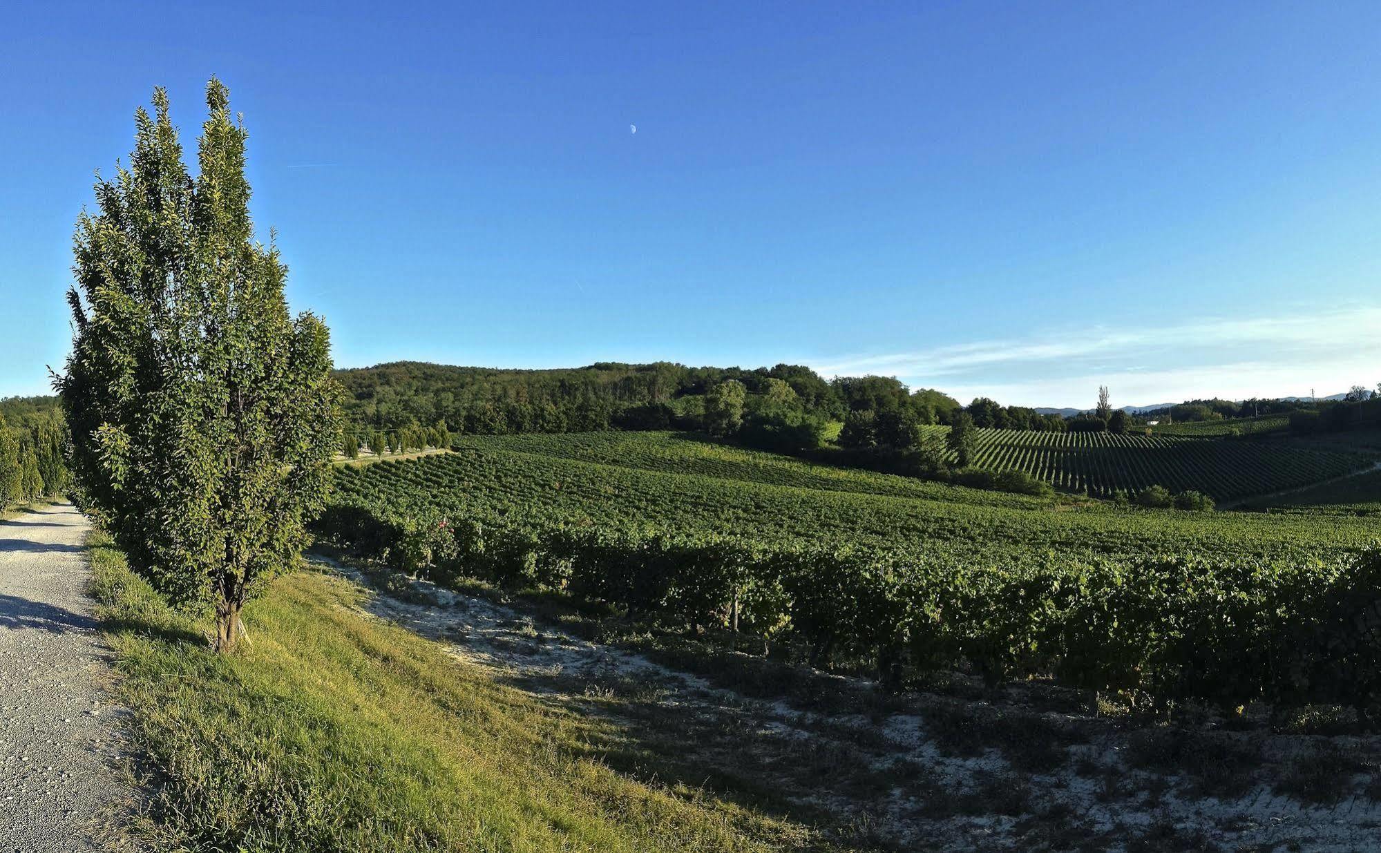 Vila Tenuta La Meirana Gavi Exteriér fotografie